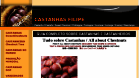 What Filipe.com website looked like in 2018 (5 years ago)