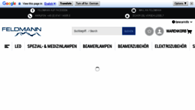 What Feldmannlampen.de website looked like in 2018 (5 years ago)