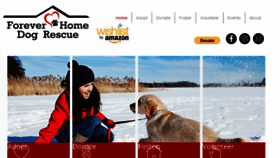 What Foreverhomedogrescue.org website looked like in 2018 (5 years ago)