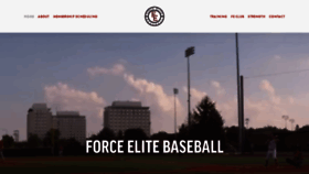 What Forceelitebaseball.com website looked like in 2019 (5 years ago)