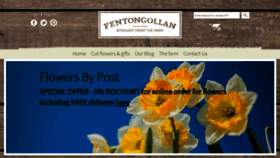 What Flowerfarm.co.uk website looked like in 2019 (5 years ago)