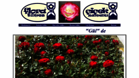 What Floratimes.com website looked like in 2019 (5 years ago)