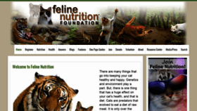 What Feline-nutrition.org website looked like in 2019 (5 years ago)