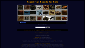 What Fossilmall.com website looked like in 2019 (5 years ago)
