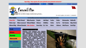 What Fencebilim.com website looked like in 2019 (5 years ago)