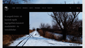 What Fotringing.hu website looked like in 2019 (4 years ago)