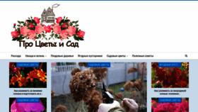 What Flowergarden.pro website looked like in 2019 (4 years ago)