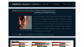 What Firmoskop.pl website looked like in 2019 (4 years ago)