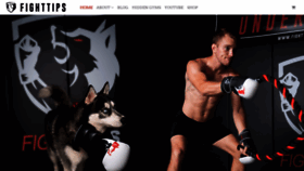 What Fighttips.com website looked like in 2019 (4 years ago)