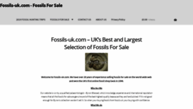 What Fossils-uk.com website looked like in 2019 (4 years ago)