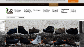 What Fld.fr website looked like in 2019 (5 years ago)