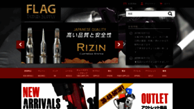 What Flag-ts.com website looked like in 2019 (5 years ago)