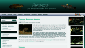 What Ferraqua.de website looked like in 2019 (4 years ago)