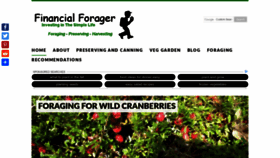 What Financialforager.com website looked like in 2019 (4 years ago)