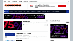 What Flashdrive-repair.com website looked like in 2019 (4 years ago)