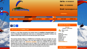What Flybirbilling.com website looked like in 2019 (4 years ago)