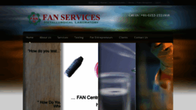 What Fanservicesnsk.com website looked like in 2019 (4 years ago)