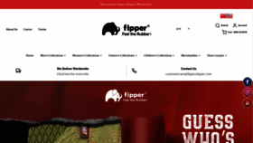 What Fipperslipper.com website looked like in 2019 (4 years ago)