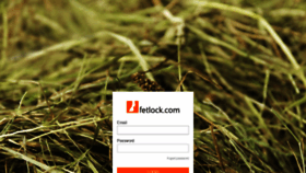 What Fetlock.com website looked like in 2019 (4 years ago)