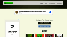 What Freemcserver.net website looked like in 2019 (4 years ago)