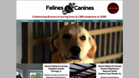 What Felinescanines.org website looked like in 2019 (4 years ago)