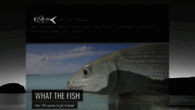 What Fish-on.com.au website looked like in 2019 (4 years ago)