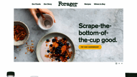 What Foragerproject.com website looked like in 2019 (4 years ago)