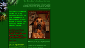 What For-everhomebloodhoundsanctuary.com website looked like in 2019 (4 years ago)