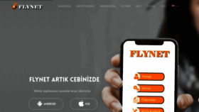 What Flynet.net website looked like in 2019 (4 years ago)