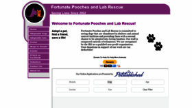What Fortunatelabrescue.org website looked like in 2019 (4 years ago)