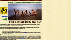 What Freebeaches.org.nz website looked like in 2019 (4 years ago)