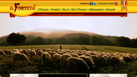 What Forteto.it website looked like in 2020 (4 years ago)
