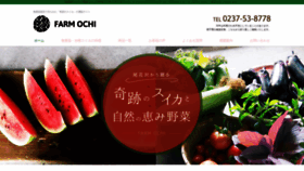 What Farm-ochi.com website looked like in 2020 (4 years ago)