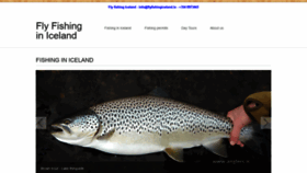 What Flyfishingiceland.is website looked like in 2020 (4 years ago)