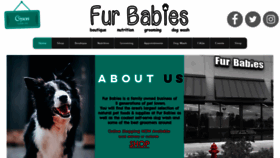 What Furbabieskingwood.com website looked like in 2020 (4 years ago)