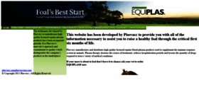 What Foalsbeststart.com website looked like in 2020 (4 years ago)