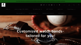 What Finwatchstraps-se.com website looked like in 2020 (4 years ago)