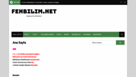 What Fenbilim.net website looked like in 2020 (4 years ago)
