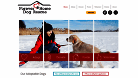 What Foreverhomedogrescue.org website looked like in 2020 (4 years ago)