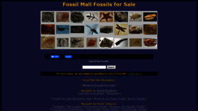 What Fossilmall.com website looked like in 2020 (4 years ago)