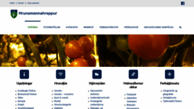What Fludir.is website looked like in 2020 (4 years ago)