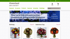 What Flowerlandflorist.biz website looked like in 2020 (4 years ago)