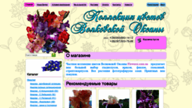 What Flowersi.com.ua website looked like in 2020 (4 years ago)