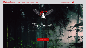 What Flyamanita.com website looked like in 2020 (4 years ago)