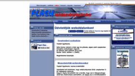 What Flashelectronic.hu website looked like in 2020 (4 years ago)