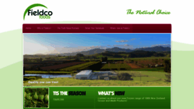 What Fieldco.co.nz website looked like in 2020 (4 years ago)