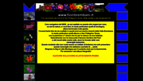 What Fioribrembani.it website looked like in 2020 (4 years ago)