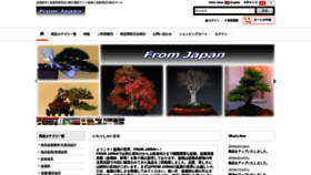 What Fromjapan-tk.com website looked like in 2020 (4 years ago)