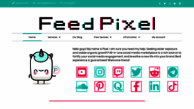 What Feedpixel.com website looked like in 2020 (4 years ago)
