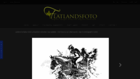 What Flatlandsfoto.com website looked like in 2020 (4 years ago)
